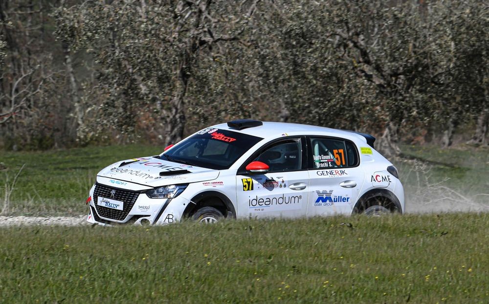 Baruffa-Brachi-Peugeot-208-Rally4-a