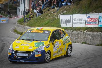 Peugeot 208 Rally Cup Pro r2b aspirate Tondina