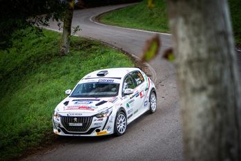 Peugeot 208 Rally Cup Top Lucchesi