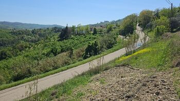 diano