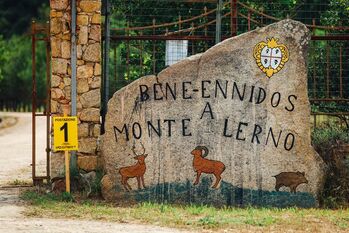 monte