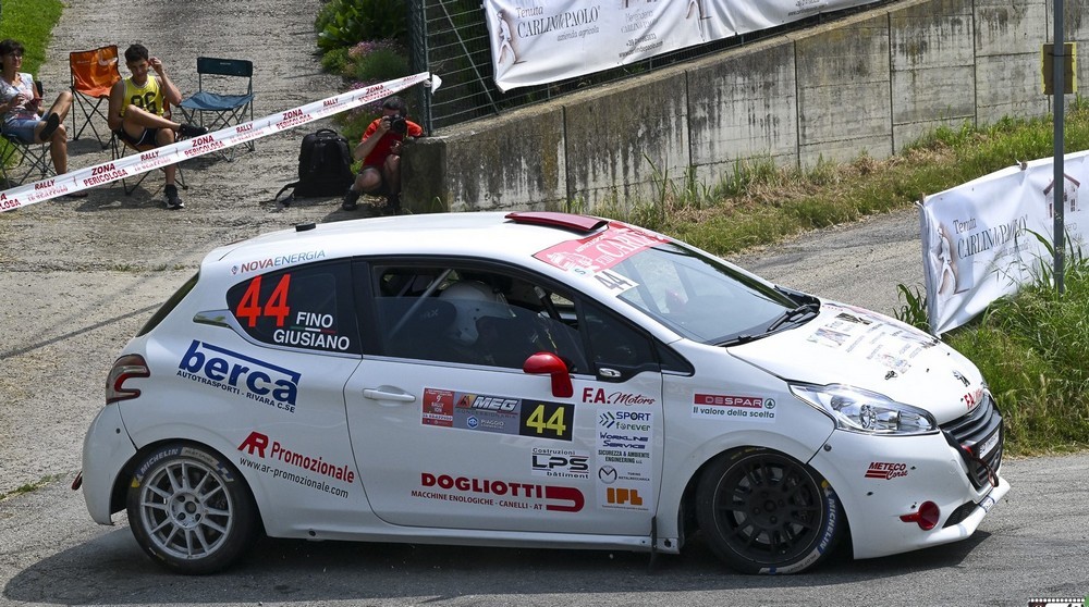 Fino---Grappolo-2025---Foto-Magnano-