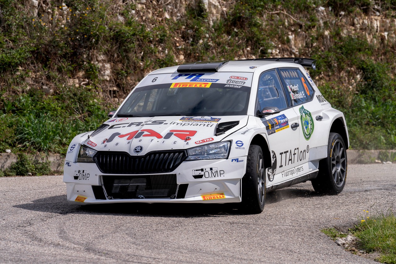Pedro-su-Skoda-Fabia-EVO-Rally2
