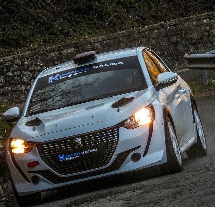 PEUGEOT-208-RALLY4