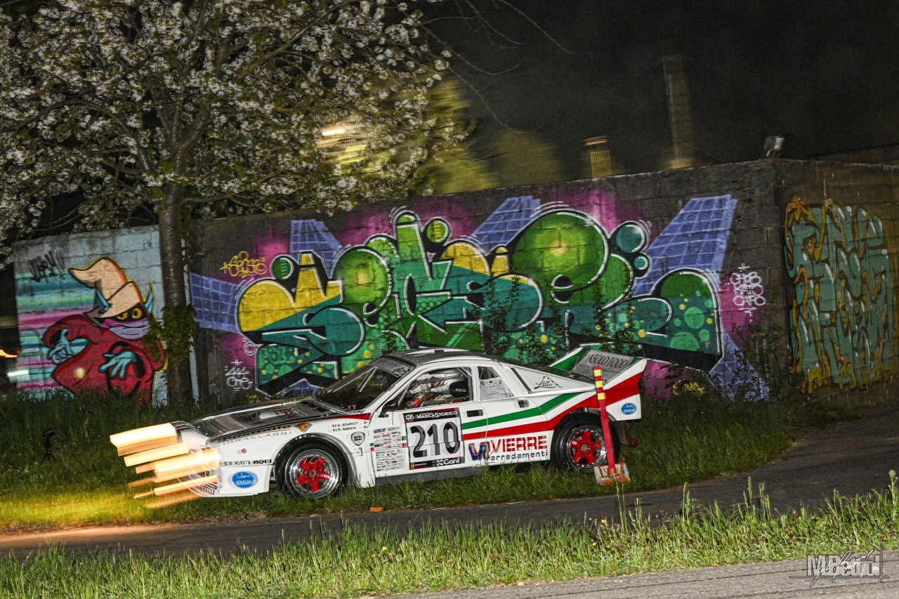 DSC_3927.jpg_20250407-124436_1