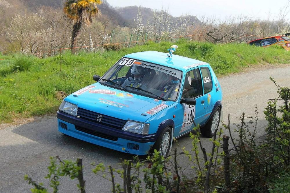 Viola-Cerutti
