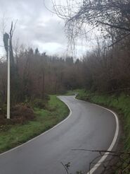 careggine1