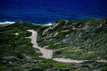WRC ITA 26 ATMOSPHERE 002