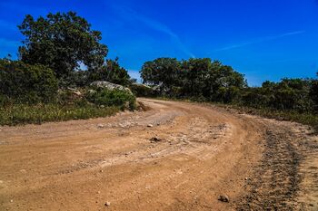 WRC ITA 26 ATMOSPHERE 007