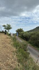 monte 1