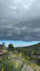 montedoro 1028