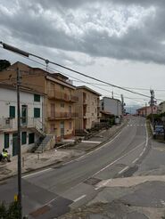 pollia 4
